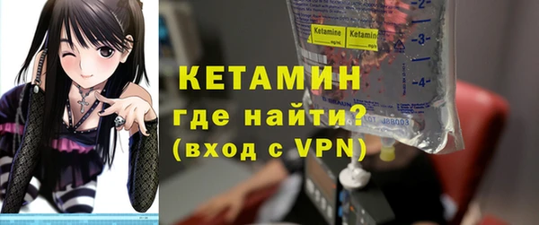 трава Няндома