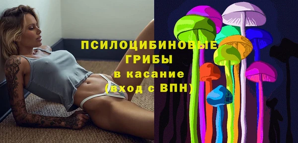 2c-b Алзамай