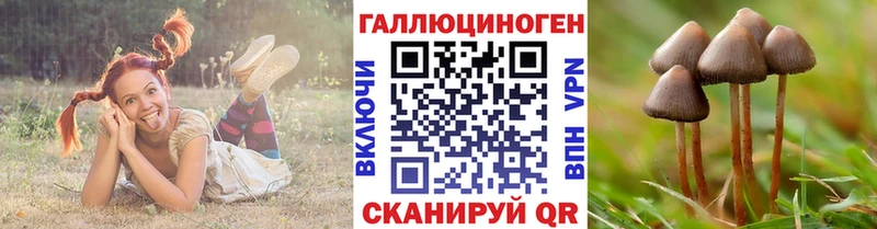 Галлюциногенные грибы Cubensis Почеп